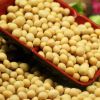 2016新豆上市 非转基因低温烘焙大豆 豆浆原料 质优价廉