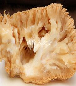卢氏伏牛山天然野生椴木猴头菇干货食用菌蘑菇绿色食品