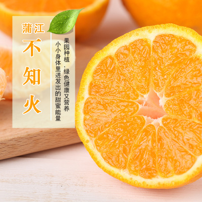 预售 四川蒲江特色水果不知火丑柑果园现发新鲜橘子5斤装味美多汁
