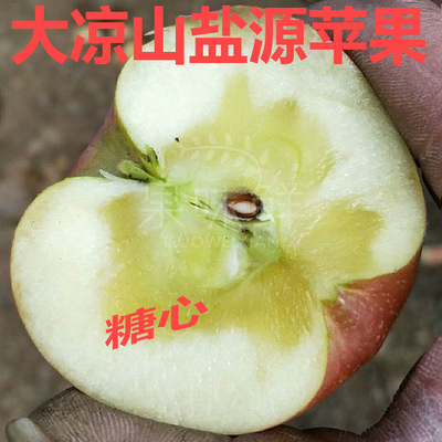 四川大凉山盐源丑苹果 糖心苹果 包邮 一件代发新鲜水果 苹果批发