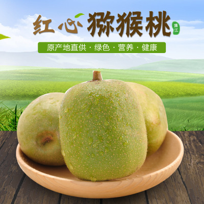 预售 四川蒲江红心猕猴桃现摘现发新鲜奇异果中果装（30个）批发