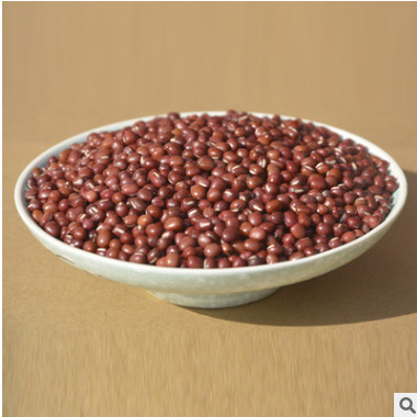 农家自产红豆 小红豆赤小豆五谷杂粮红豆薏米红豆散装量大从优