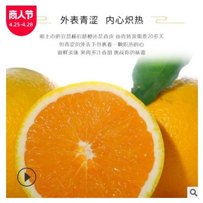 【九月红脐橙精装】宜昌秭归脐橙新鲜水果一件代发果园直采摘