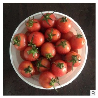 春桃圣女果 小番茄西红柿 新鲜蔬菜 孕妇水果