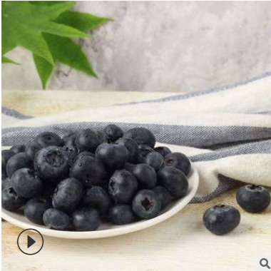 顺丰发货现货丹东新鲜蓝莓鲜果蓝莓宝宝辅食新鲜孕妇水果一件代发