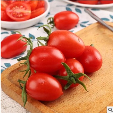顺丰【圣女果】小番茄小西红柿新鲜水果当季铁皮柿子一件代发