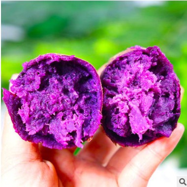 【沙地紫薯】新鲜紫罗兰紫薯紫心番薯粗粮香甜软糯