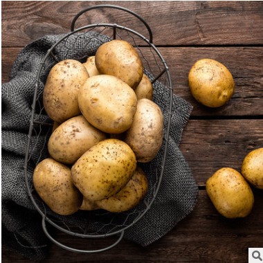 山东黄皮土豆农家自种现挖新鲜软糯马铃薯蔬菜整箱产地直营批发