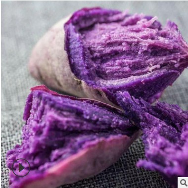 板栗红薯现挖紫色地瓜产地一件代发9斤番薯五谷杂粮新鲜紫薯