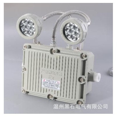 供应 BXJ LED防爆双头应急灯 10W防爆灯 专业品质 值得信赖