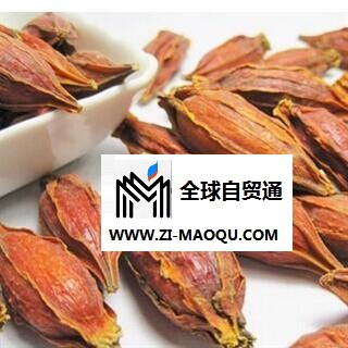 水栀子  水栀子选货 质量好  茶用 产地 广西壮族自治区柳州市