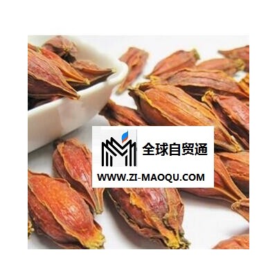 水栀子  水栀子选货 质量好  茶用 产地 广西壮族自治区柳州市