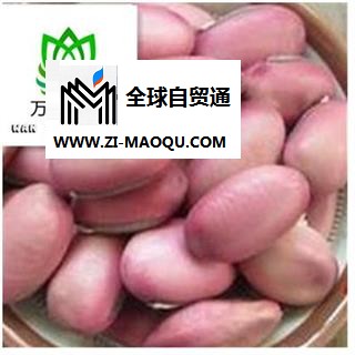 红刀豆选货  质量好 价格低 产地直销  产地 山东省