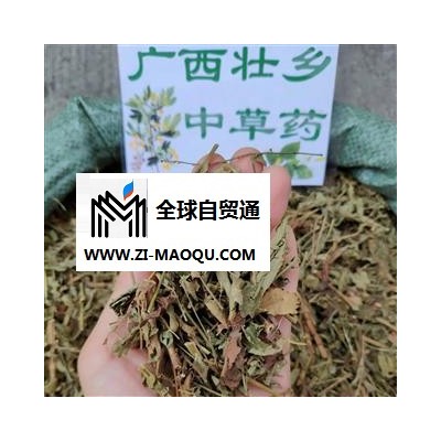 广西壮乡中草药 野生 优质 带根全草 仙鹤草 产地 广西柳州