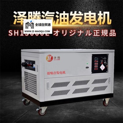 泽腾10kw汽油发电机SH13000E