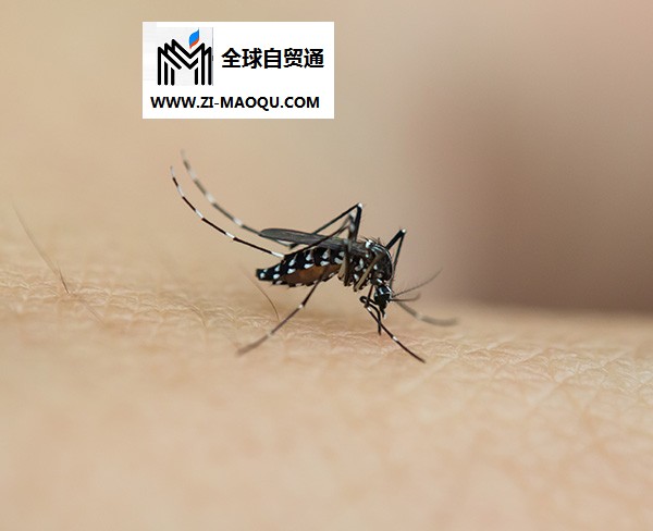 蚊子生物防治-甲壳虫|科学防治