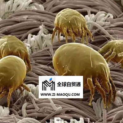 亳州害虫防治-甲壳虫|治虫公司(在线咨询)