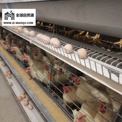 养殖设备价格-振兴家禽养殖设备厂家-广元养殖设备